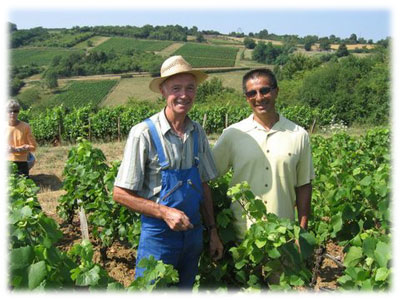 In the vineyards - Burgundy